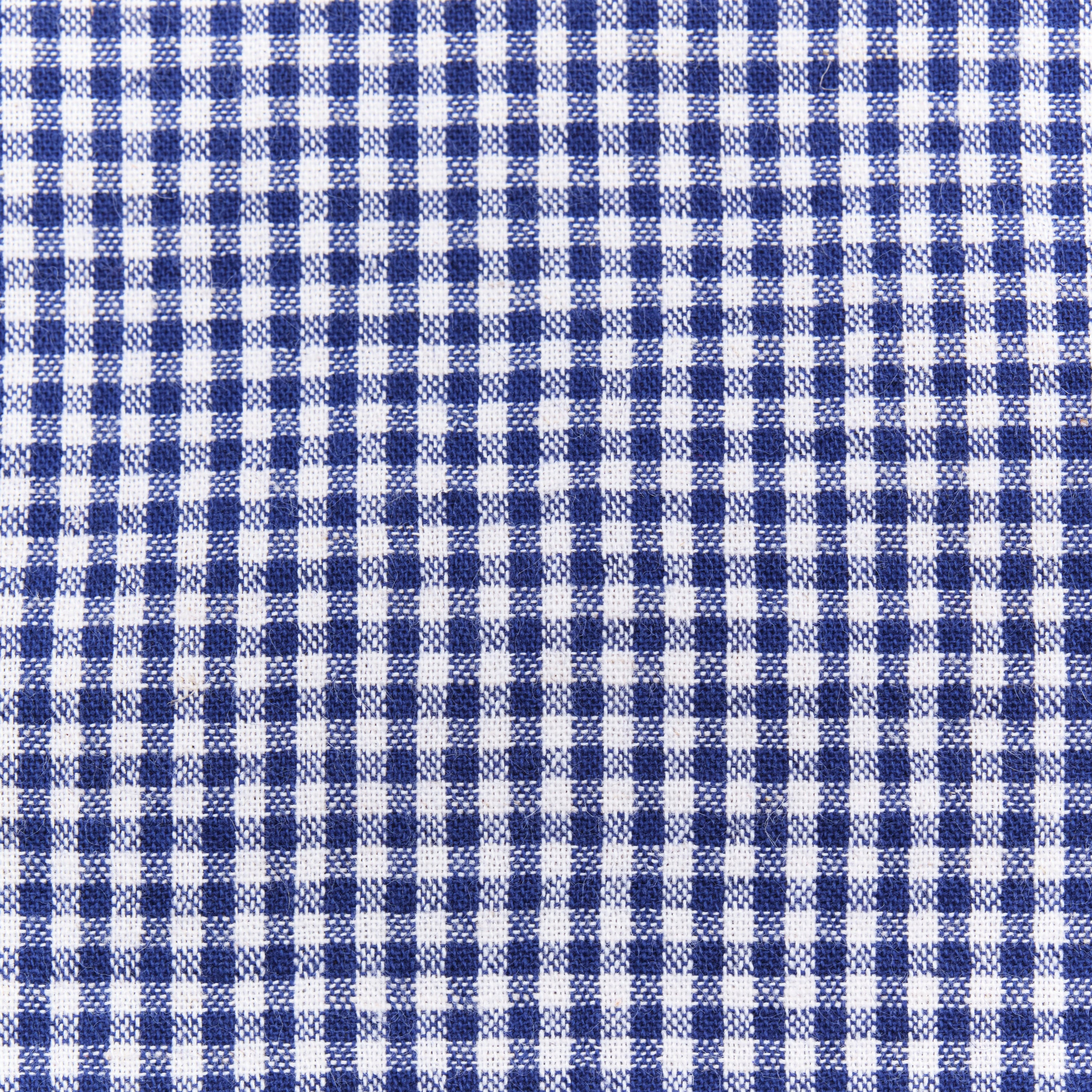 Northfork Blue Gingham