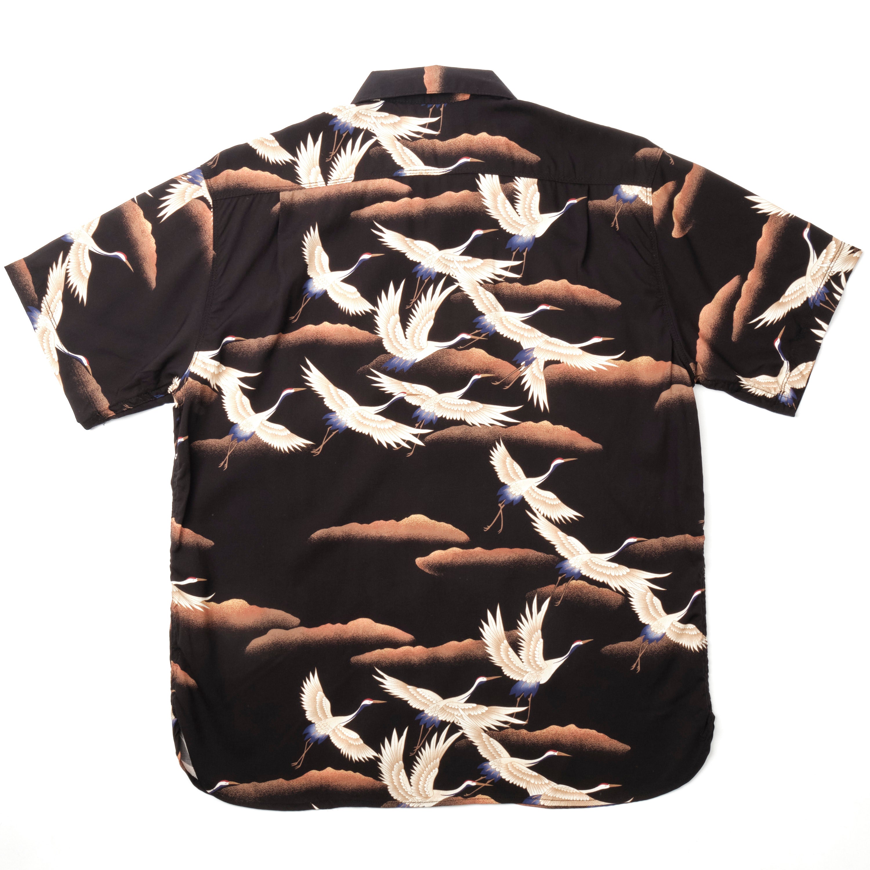 Hawaiian Black Crane